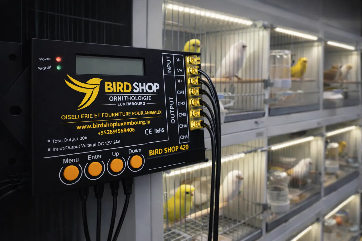 Dimmer BIRD SHOP 420 BIRD SHOP ORNITHOLOGIE LUXEMBOURG