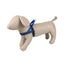 Explor east harnais nylon bleu 80-100cm/25mm - BIRD SHOP ORNITHOLOGIE LUXEMBOURG S.A.R.L-S
