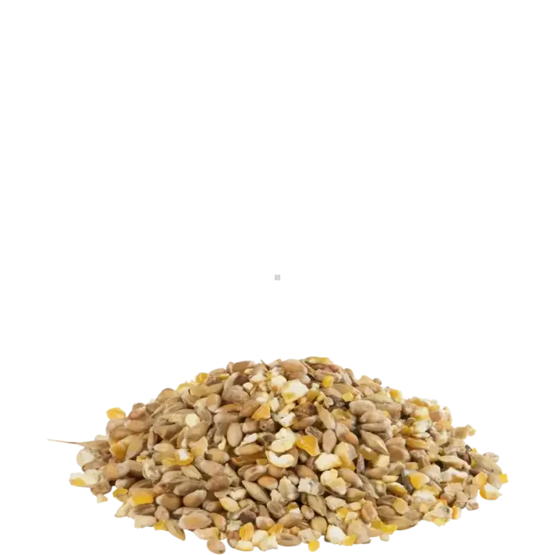 GRA-MIX Mélange Volaille + Grit 20kg - BIRD SHOP ORNITHOLOGIE LUXEMBOURG S.A.R.L-S