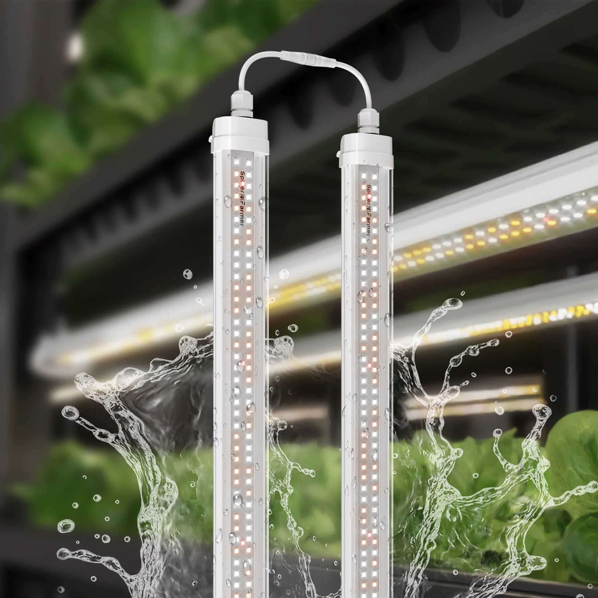 barres lumineuses de croissance LED Spider Farmer® Glow80 80W, spectre complet, étanche IP65, lampes connectables pour plantes d’intérieur, plantes succulentes, clonage, végétation et floraison SPIDER FARMER