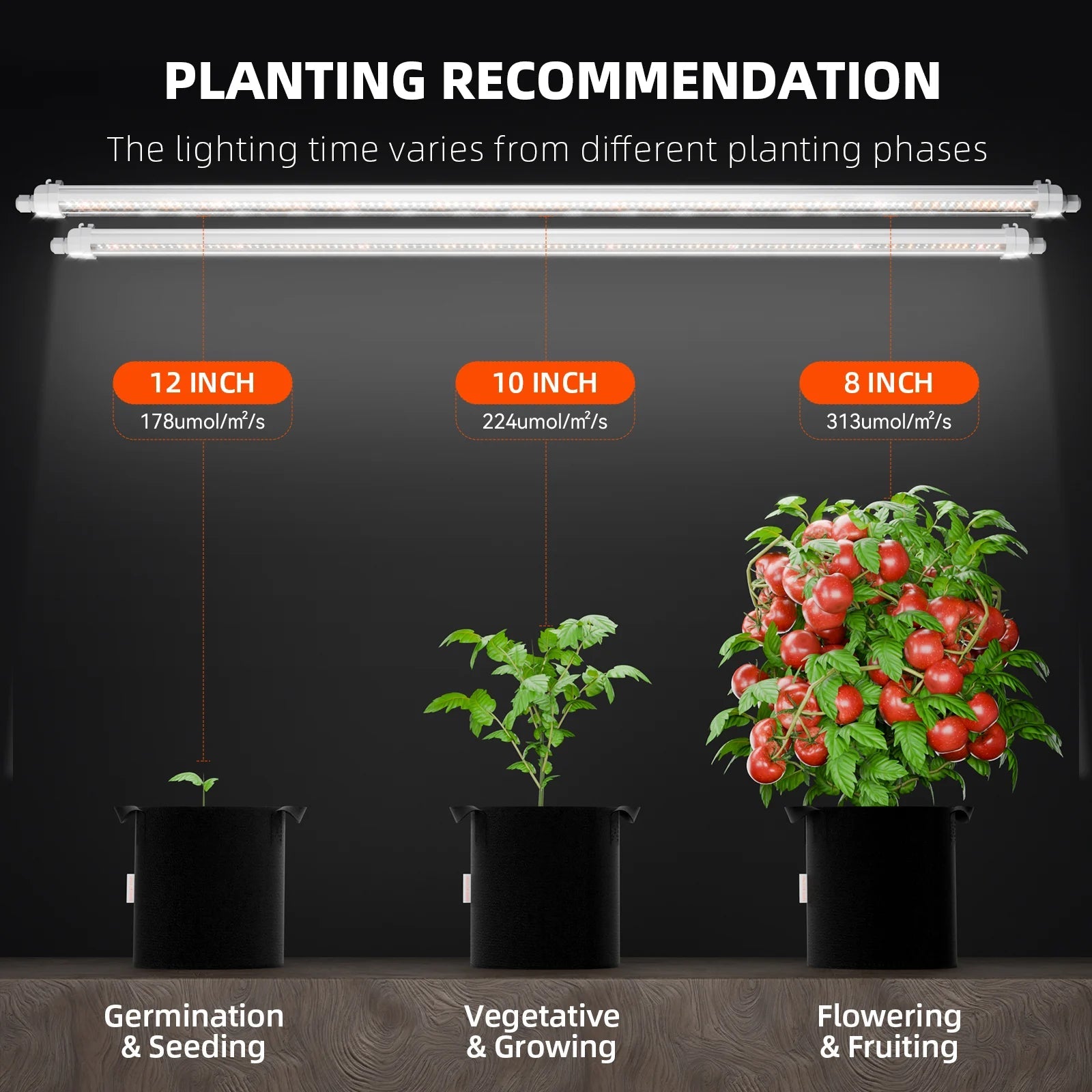 barres lumineuses de croissance LED Spider Farmer® Glow80 80W, spectre complet, étanche IP65, lampes connectables pour plantes d’intérieur, plantes succulentes, clonage, végétation et floraison SPIDER FARMER