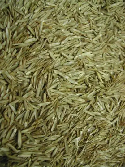 Graines d'Herbe Fin/Moyen - Vrac au kilo Bird Shop Ornithologie Luxembourg