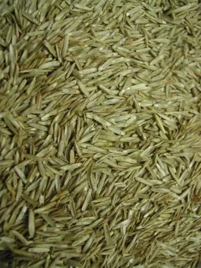 Graines d'Herbe Fin/Moyen - Vrac au kilo Bird Shop Ornithologie Luxembourg