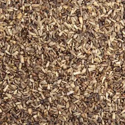 Graines de Chicorée - Vrac au kilo Bird Shop Ornithologie Luxembourg