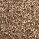 Graines de Chicorée - Vrac au kilo Bird Shop Ornithologie Luxembourg