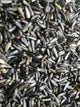 Graines de Niger - Vrac au kilo Bird Shop Ornithologie Luxembourg