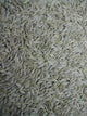 Graines de Salade Blanche - Vrac au kilo Bird Shop Ornithologie Luxembourg