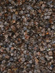 Graines de Sarrasin - Vrac au kilo Bird Shop Ornithologie Luxembourg