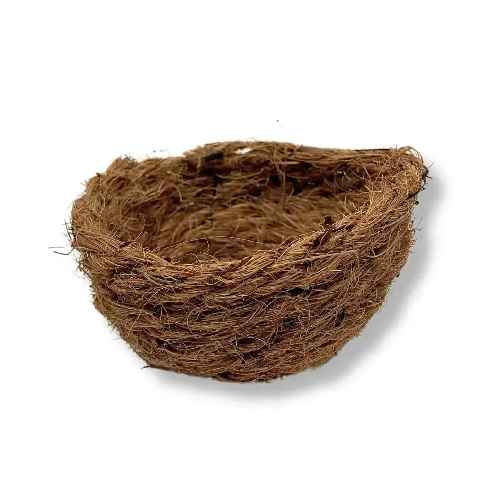 Incrustation nid coco - BIRD SHOP ORNITHOLOGIE LUXEMBOURG S.A.R.L-S