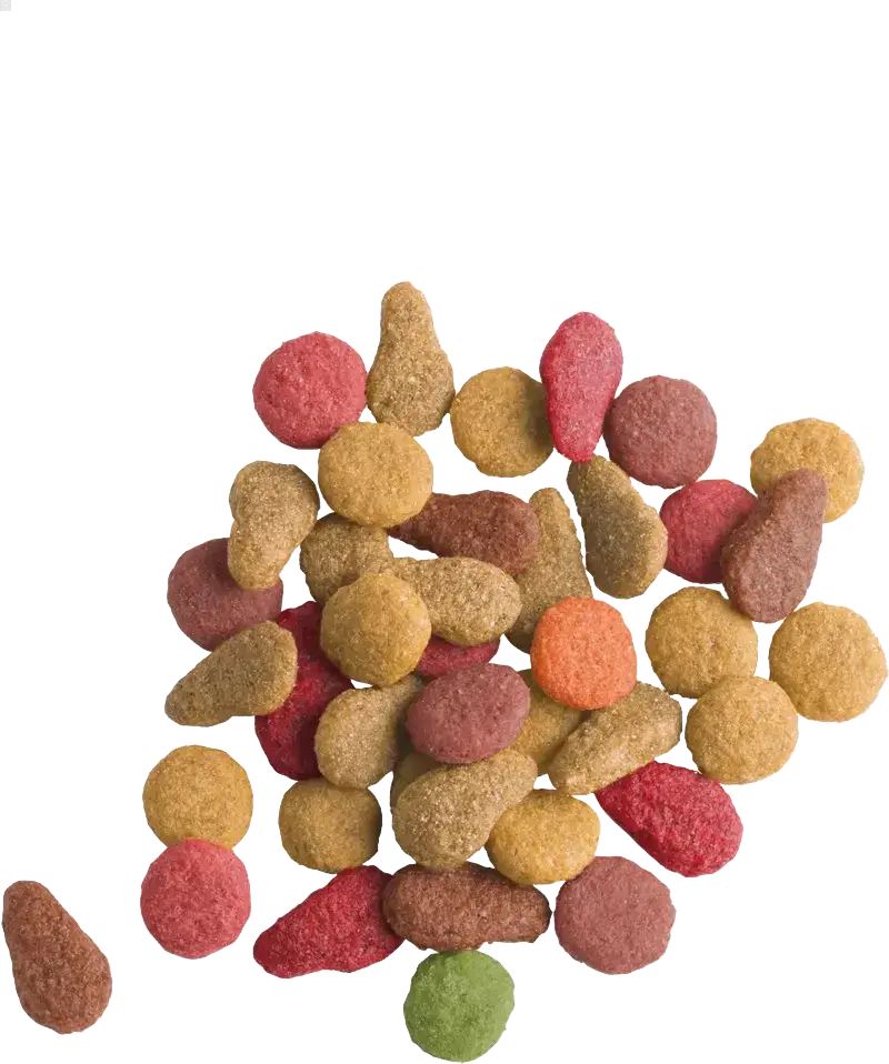 LARA Adult au Saumon 2 KG - BIRD SHOP ORNITHOLOGIE LUXEMBOURG S.A.R.L-S