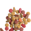 LARA Adult au Saumon 2 KG Versele-Laga