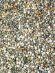 Millet Japonais - Vrac au kilo Bird Shop Ornithologie Luxembourg