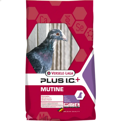 Multine Plus I.C + - BIRD SHOP ORNITHOLOGIE LUXEMBOURG S.A.R.L-S