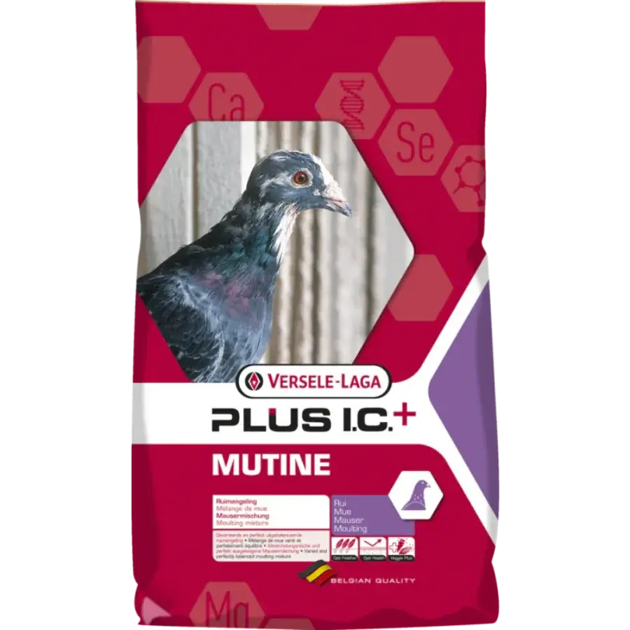 Multine Plus IC + 20 kg - BIRD SHOP ORNITHOLOGIE LUXEMBOURG S.A.R.L-S