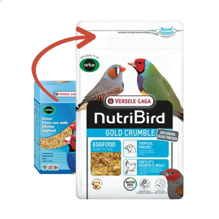 Pâtée Sèche Oiseaux Exotiques - 1kg - BIRD SHOP ORNITHOLOGIE LUXEMBOURG S.A.R.L-S