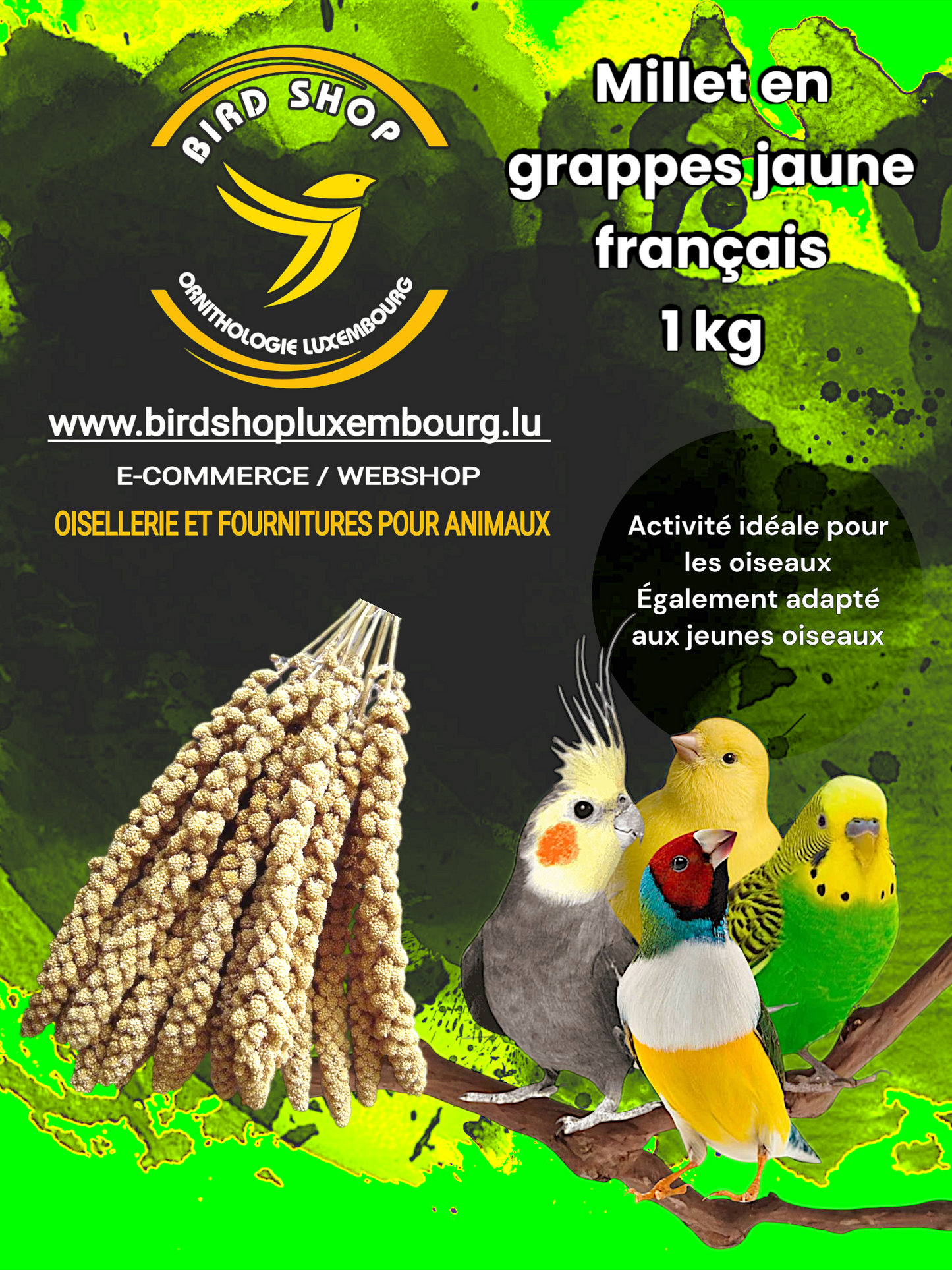 Millet en grappes jaune français 1 KG - BIRD SHOP ORNITHOLOGIE LUXEMBOURG 