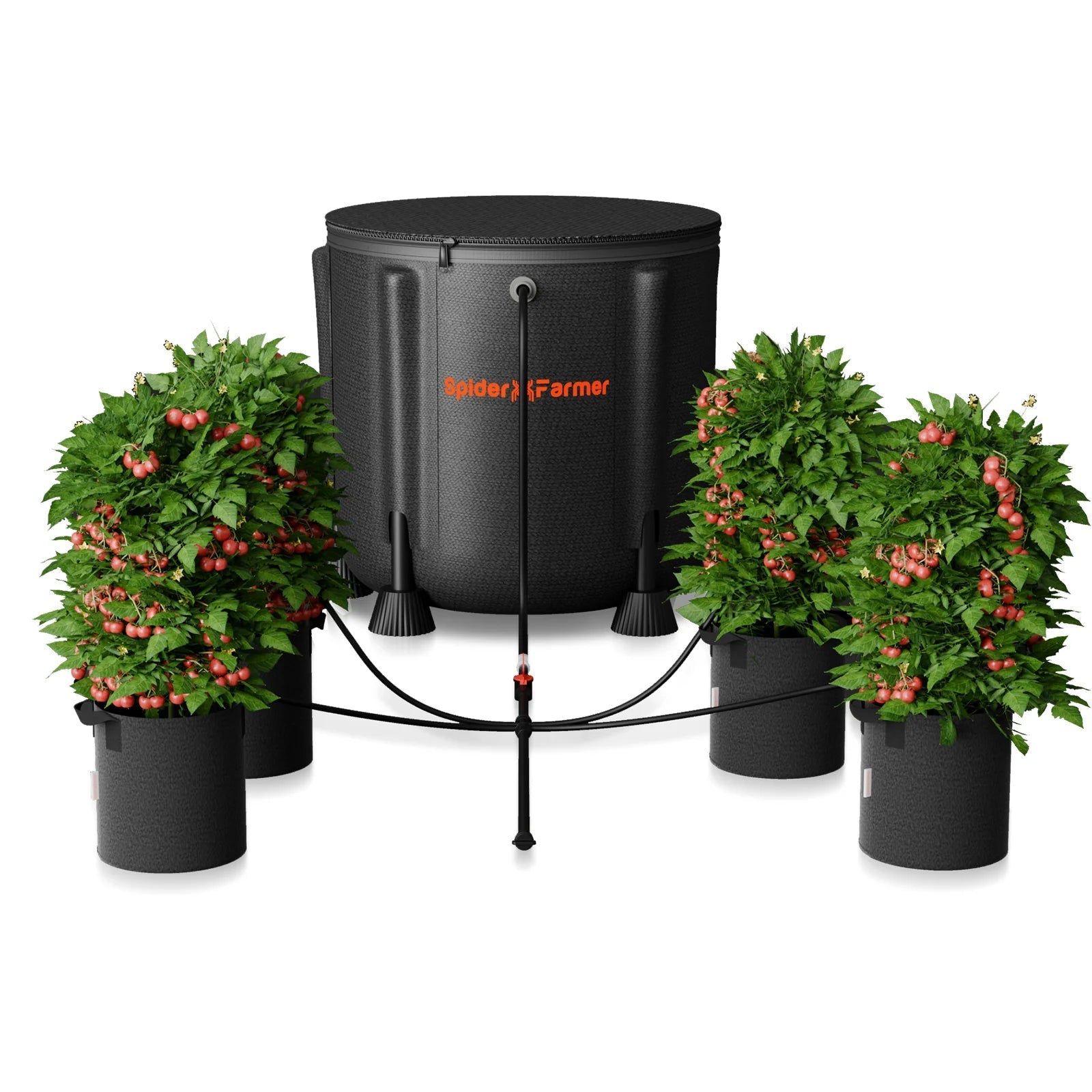 Spider Farmer Système d’irrigation goutte à goutte automatique pour plantes Pompe à eau avec 8 émetteurs de goutte à goutte SPIDER FARMER
