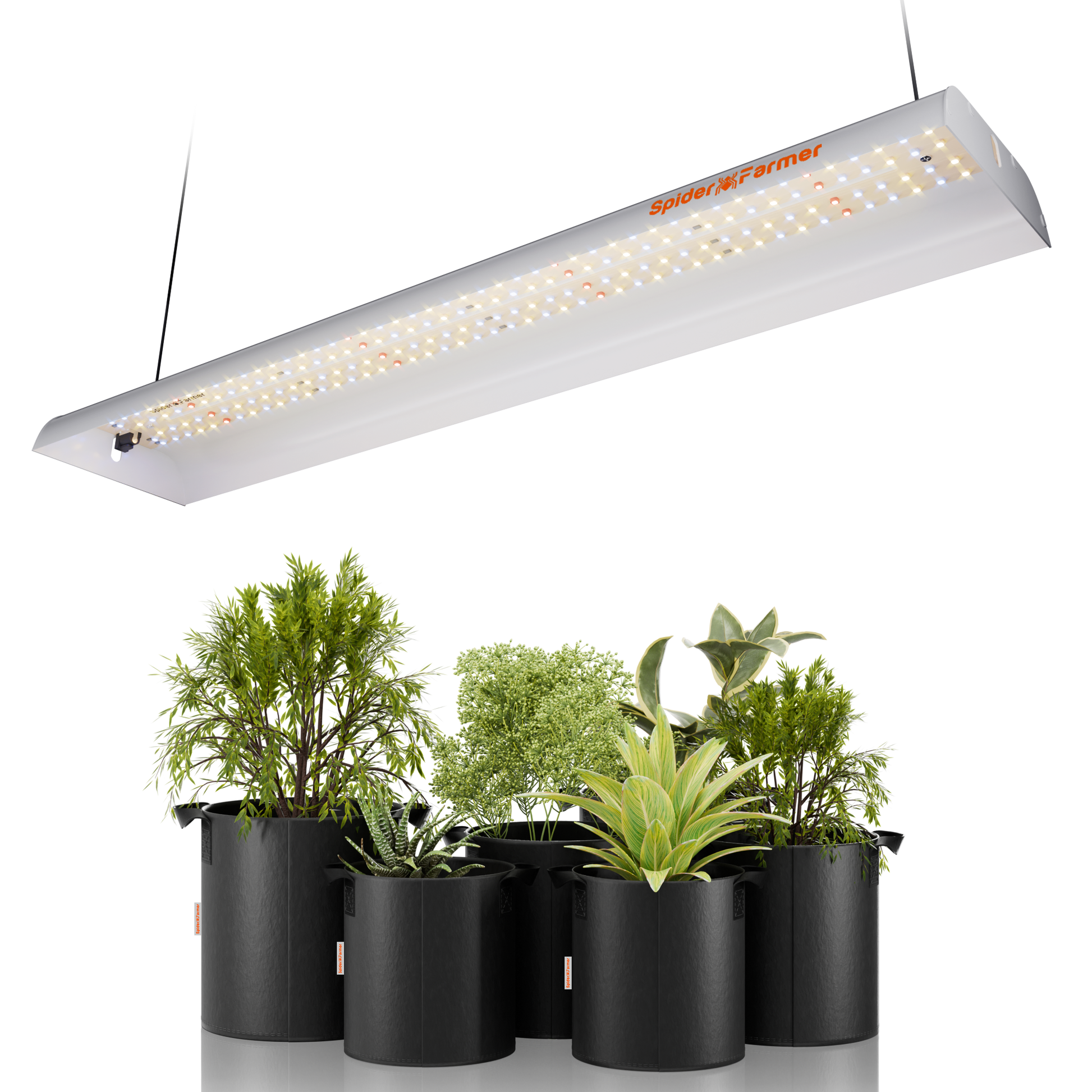 Spider Farmer SF300 33W LED Grow Light pour semis jardin intérieur SPIDER FARMER