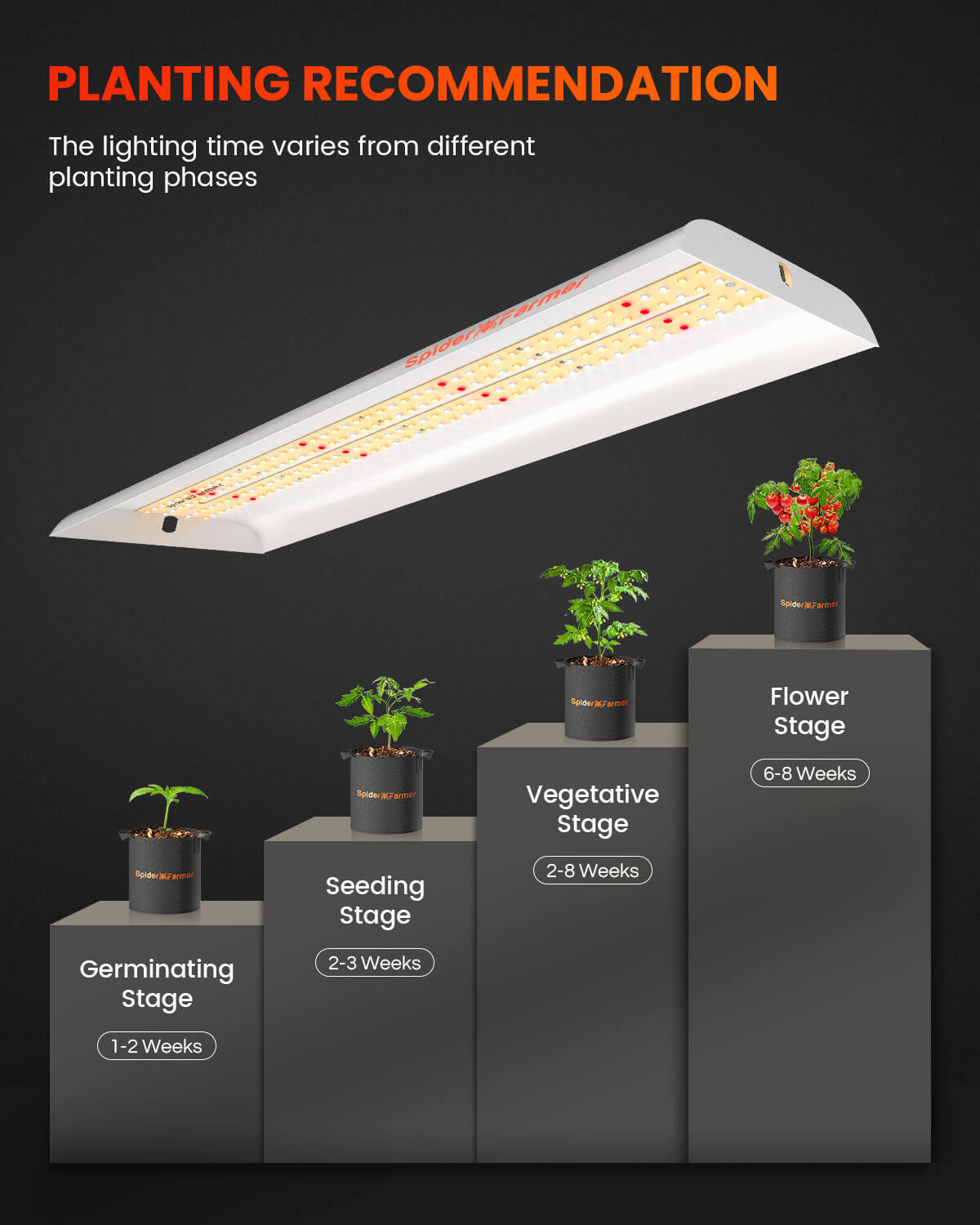 Spider Farmer SF300 33W LED Grow Light pour semis jardin intérieur SPIDER FARMER
