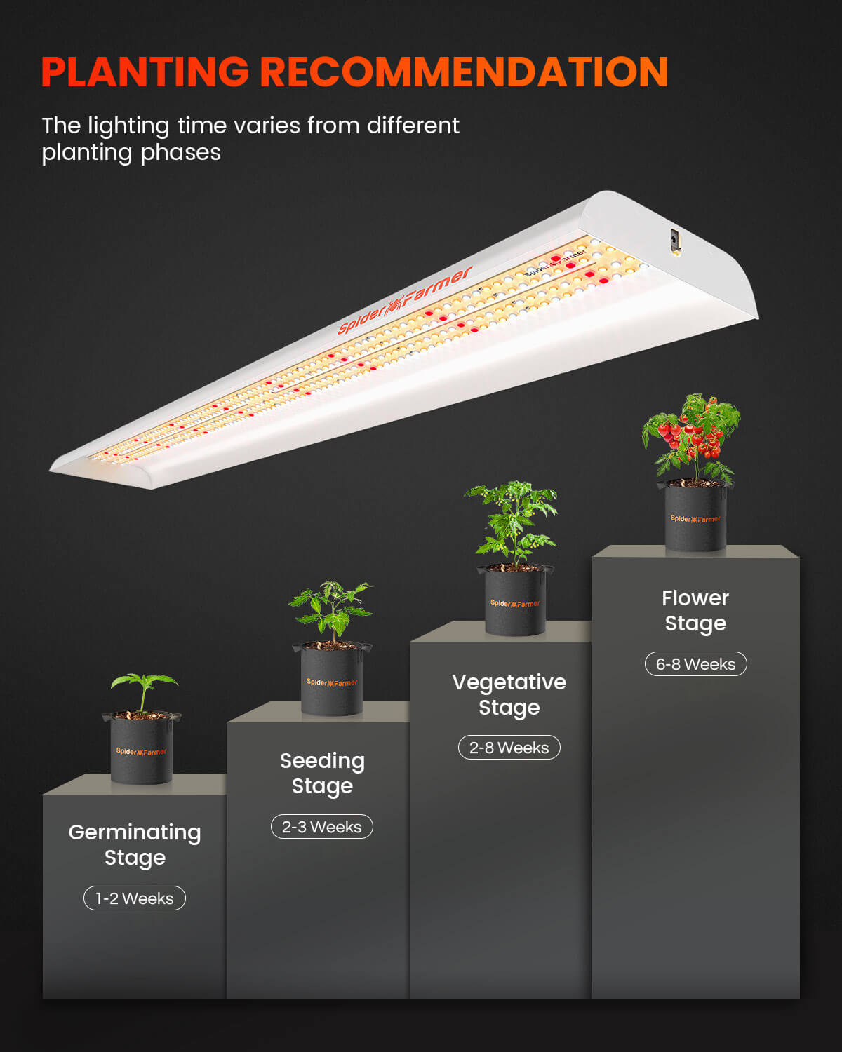 2025 La plus récente version Spider Farmer SF600 74W LED Grow Light Hydroponics Grow Indoor Flower Garden SPIDER FARMER