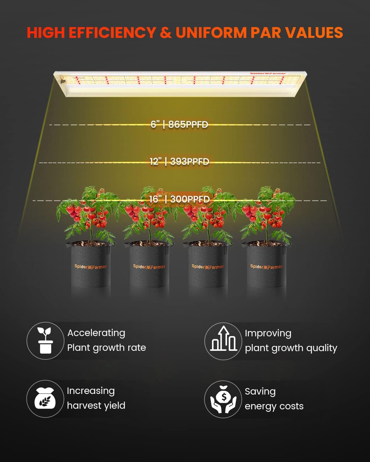 2025 La plus récente version Spider Farmer SF600 74W LED Grow Light Hydroponics Grow Indoor Flower Garden SPIDER FARMER