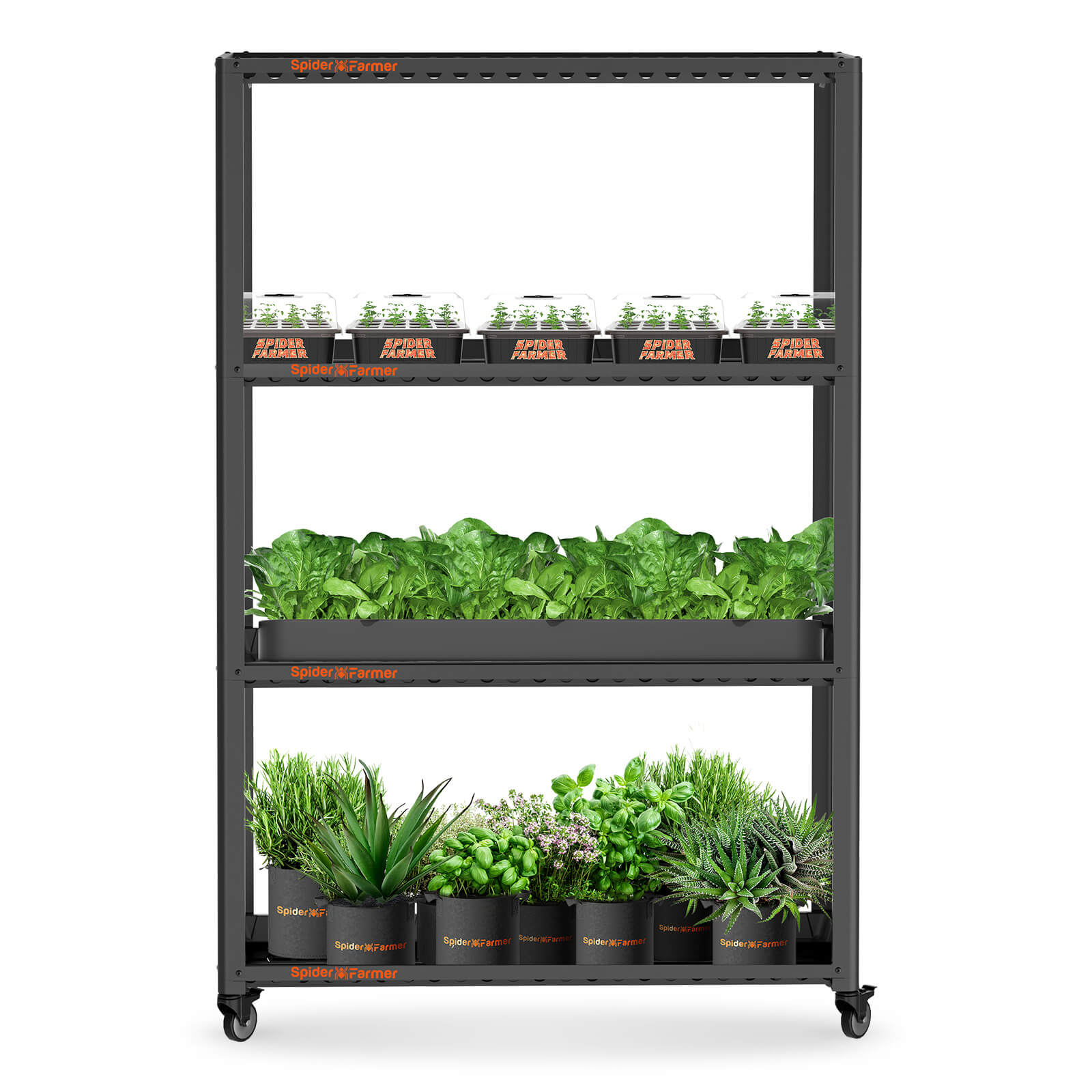 2025 La plus récente version Spider Farmer SF600 74W LED Grow Light Hydroponics Grow Indoor Flower Garden SPIDER FARMER