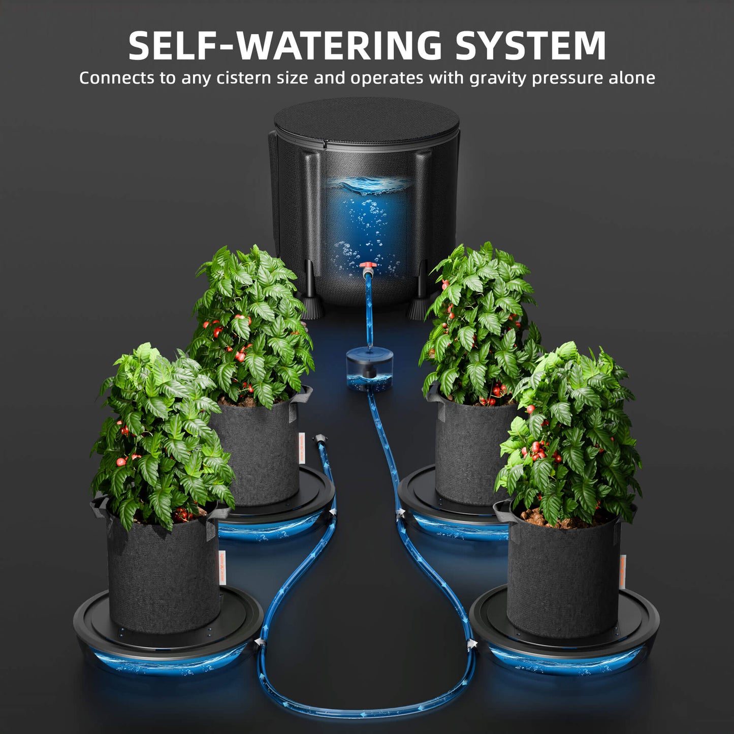 Spider Farmer 4 Pcs Automatische Bewässerung Selbstbewässerungssystem 4er-Set Kits de système d’arrosage automatique pour les plantes sans pompe pour les tentes de culture intérieures, les serres SPIDER FARMER