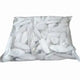 Sepia Mineral de Versele Laga 10-14 cm sac 1kg - BIRD SHOP ORNITHOLOGIE LUXEMBOURG S.A.R.L-S
