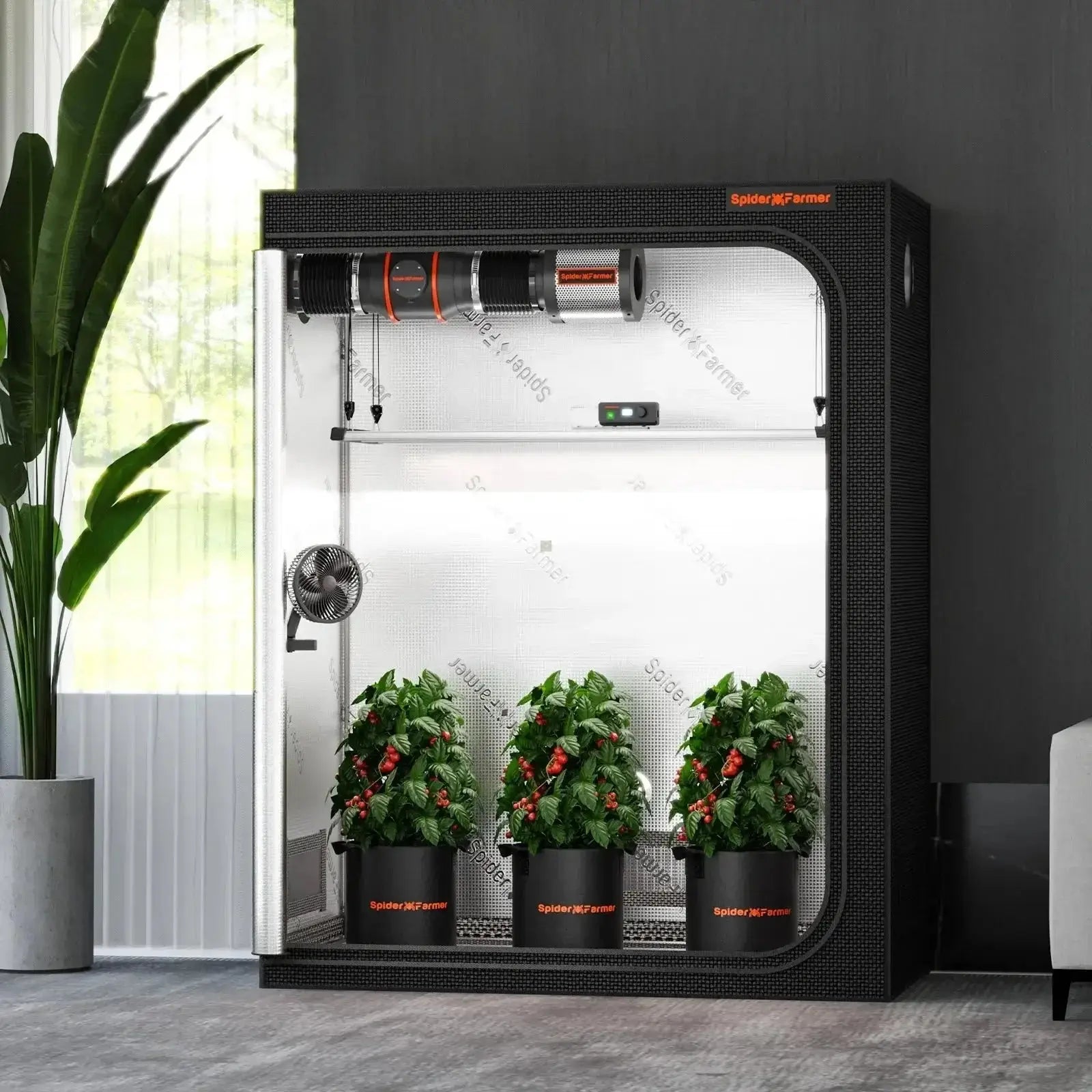 Spider Farmer 140x70x200cm Tente de culture intérieure haute réflexion Growzelt 1680D Salle de plantes hydroponique pour une croissance optimale des plantes et un contrôle du climat - BIRD SHOP ORNITHOLOGIE LUXEMBOURG S.A.R.L-S