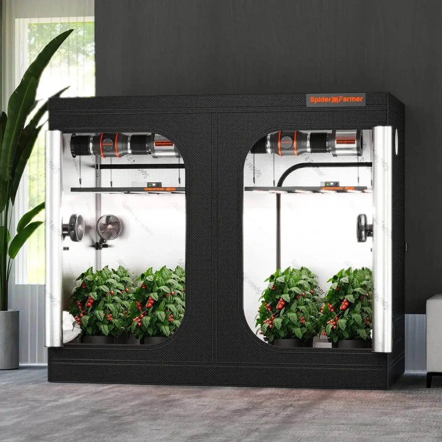 Spider Farmer 240x120x200cm Tente de culture intérieure 1680D Salle de culture hydroponique pour une croissance optimale des plantes et un contrôle du climat Boîte de culture - BIRD SHOP ORNITHOLOGIE LUXEMBOURG S.A.R.L-S