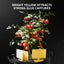 Spider Farmer 9-en-1 Werkzeugsatz Kit d’outils de croissance de plantes - BIRD SHOP ORNITHOLOGIE LUXEMBOURG S.A.R.L-S