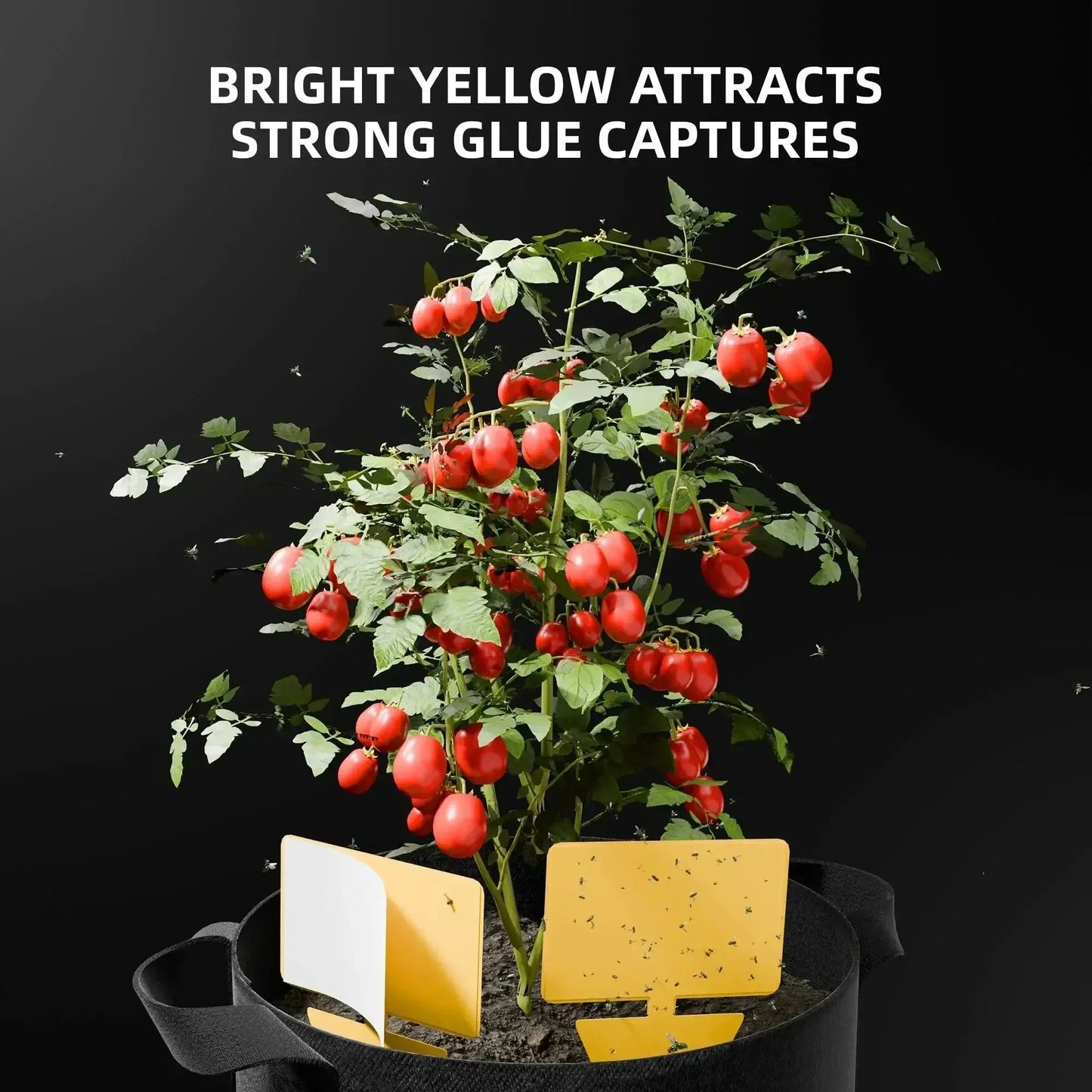 Spider Farmer 9-en-1 Werkzeugsatz Kit d’outils de croissance de plantes - BIRD SHOP ORNITHOLOGIE LUXEMBOURG S.A.R.L-S