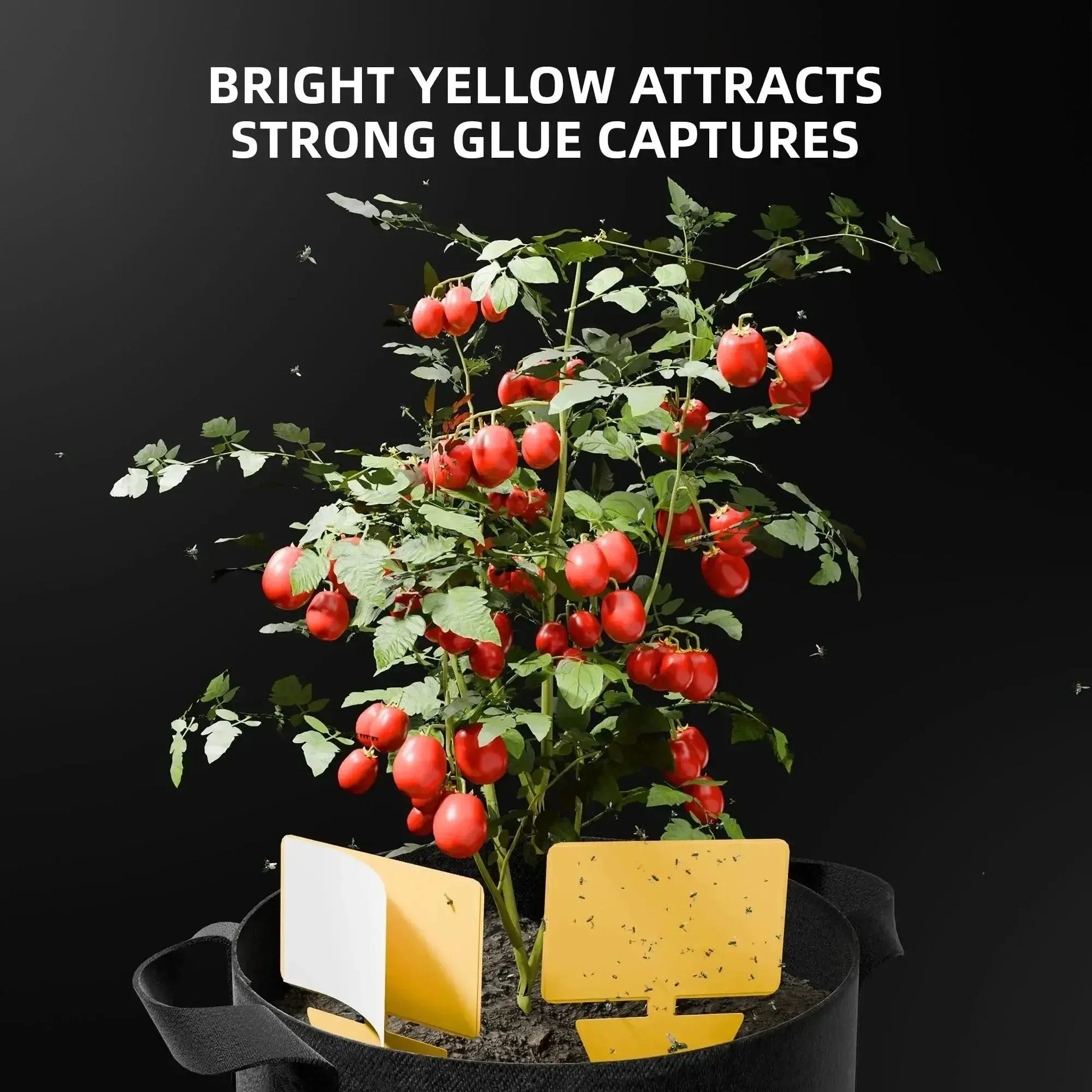Spider Farmer 9-en-1 Werkzeugsatz Kit d’outils de croissance de plantes - BIRD SHOP ORNITHOLOGIE LUXEMBOURG S.A.R.L-S