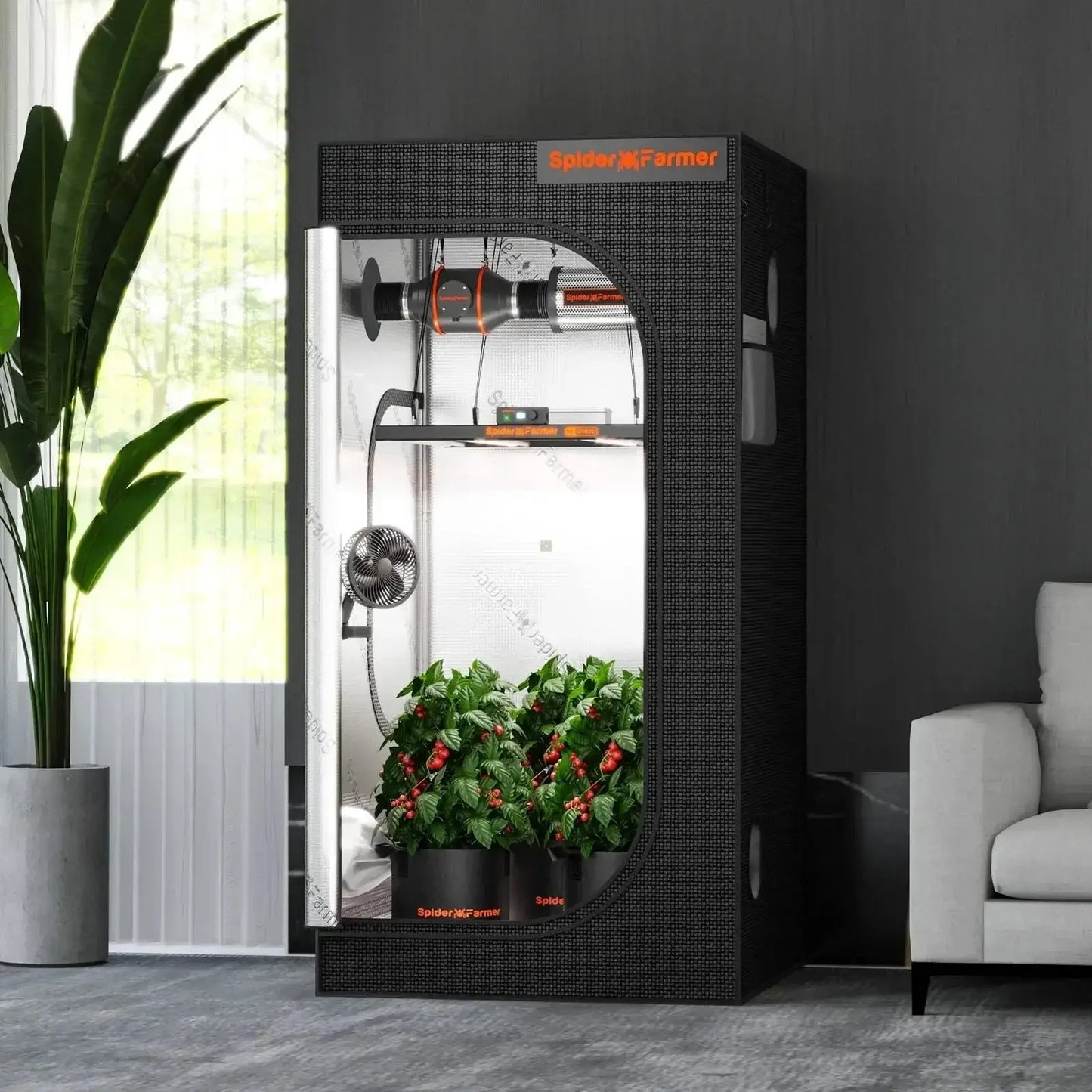 Spider Farmer 90x90x180cm Tente de culture intérieure 1680D - BIRD SHOP ORNITHOLOGIE LUXEMBOURG S.A.R.L-S