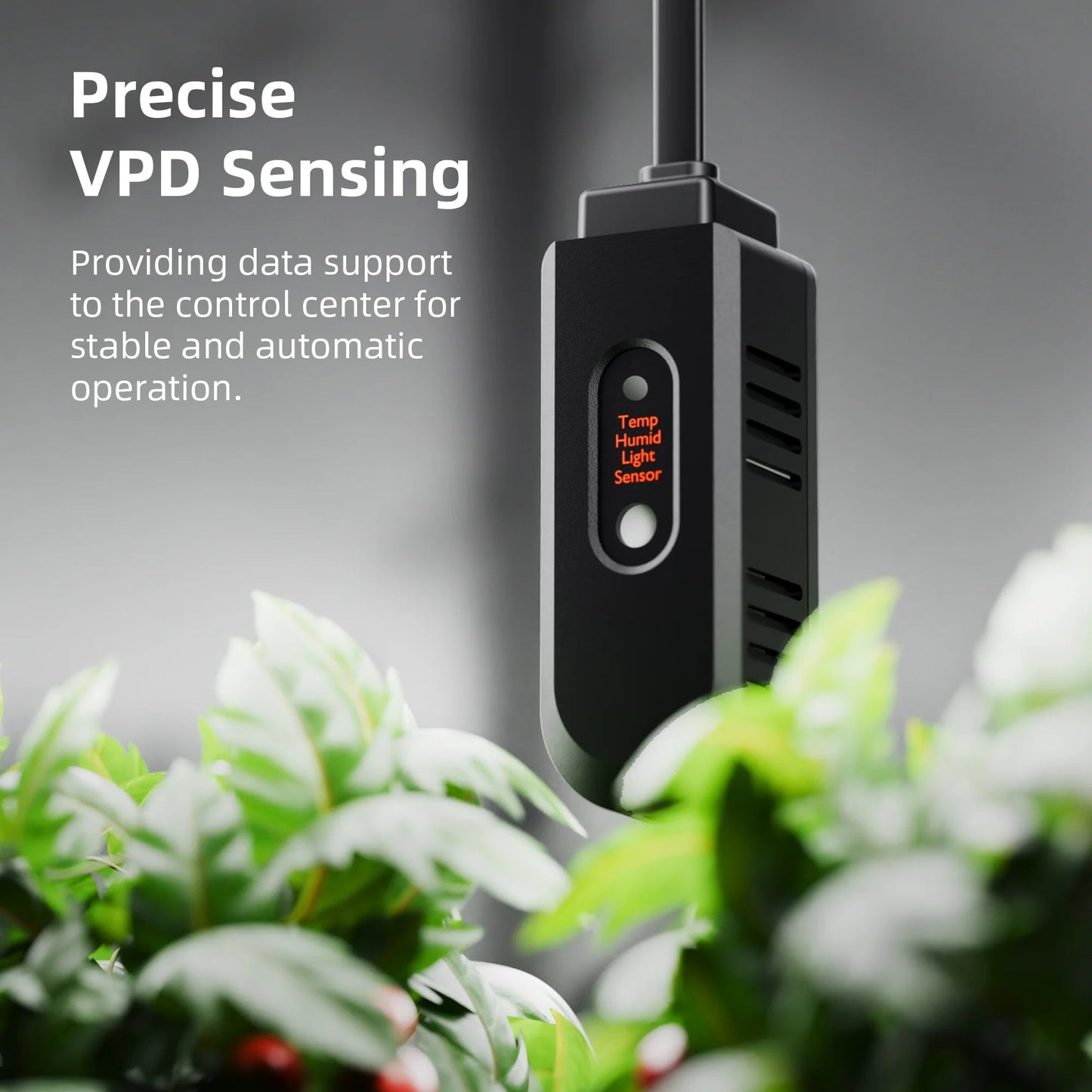Ensemble de contrôleurs climatiques Spider Farmer GGS - Surveillance de la température, de l'humidité et du VPD, synchronisation, données historiques, Bluetooth et WiFi pour un contrôle climatique optimisé SPIDER FARMER