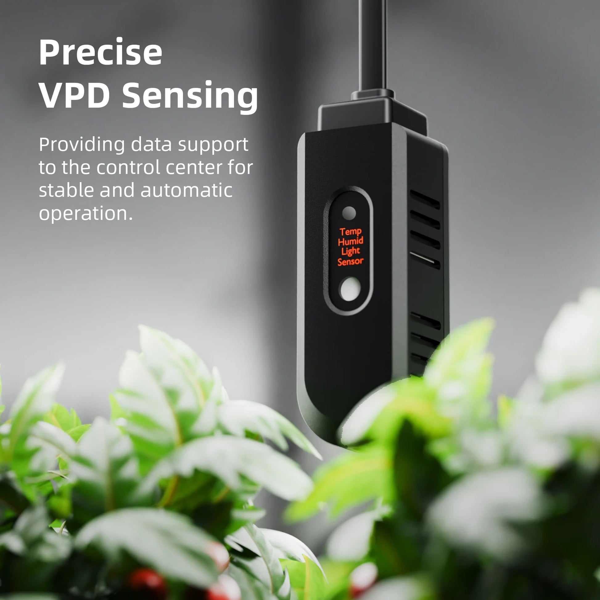 Ensemble de contrôleurs climatiques Spider Farmer GGS - Surveillance de la température, de l'humidité et du VPD, synchronisation, données historiques, Bluetooth et WiFi pour un contrôle climatique optimisé SPIDER FARMER