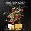 Spider Farmer 9-en-1 Werkzeugsatz Kit d’outils de croissance de plantes SPIDER FARMER