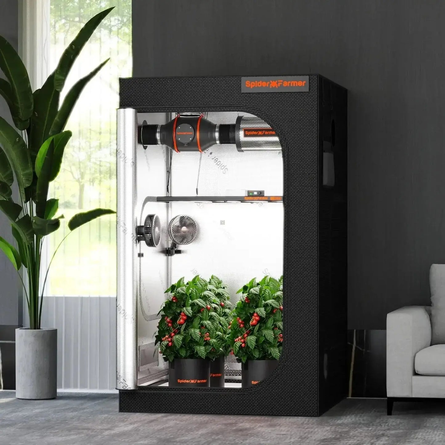 Spider Farmer Tente de culture - BIRD SHOP ORNITHOLOGIE LUXEMBOURG S.A.R.L-S