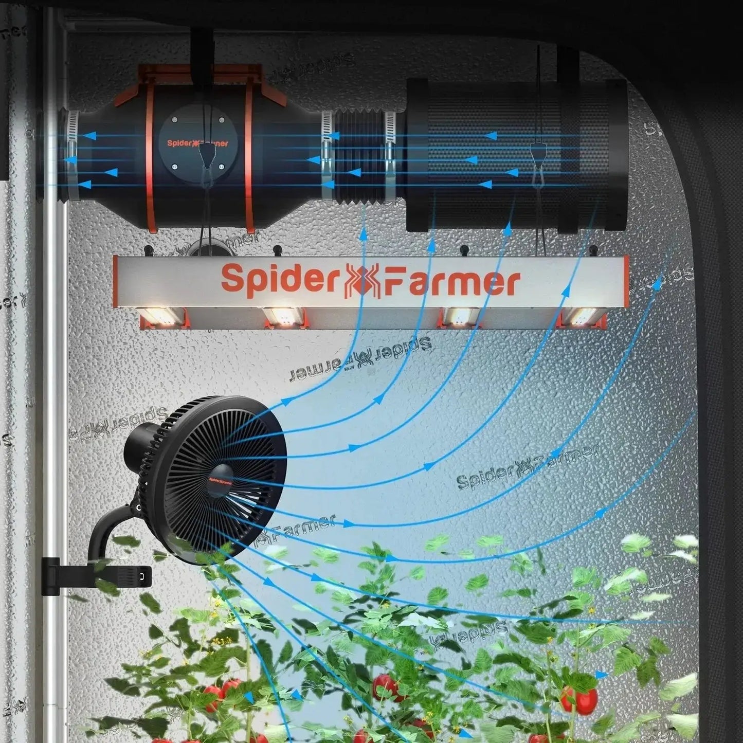 Spider Farmer® 70x70x160cm Ensemble complet de culture 丨SF1000 Samsung 301H EVO LED à spectre complet - BIRD SHOP ORNITHOLOGIE LUXEMBOURG S.A.R.L-S