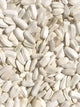 Tournesol Blanc Moyen/Petit - Vrac au kilo Bird Shop Ornithologie Luxembourg