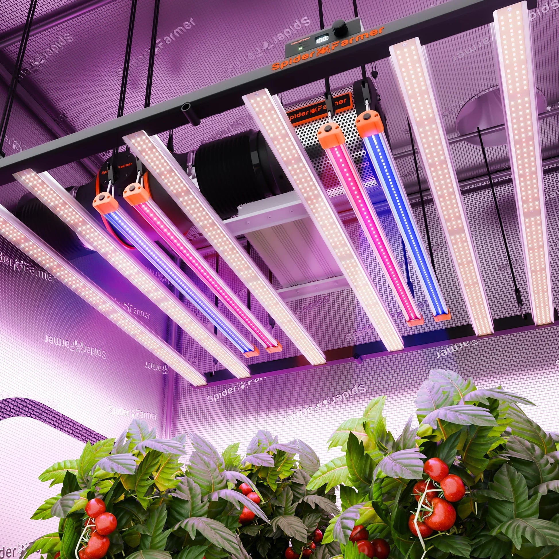 2025 Le plus récent ensemble de barres lumineuses LED Spider Farmer UV30 et IR16 (60cm) - Supplément UV et infrarouge amélioré pour les plantes SPIDER FARMER
