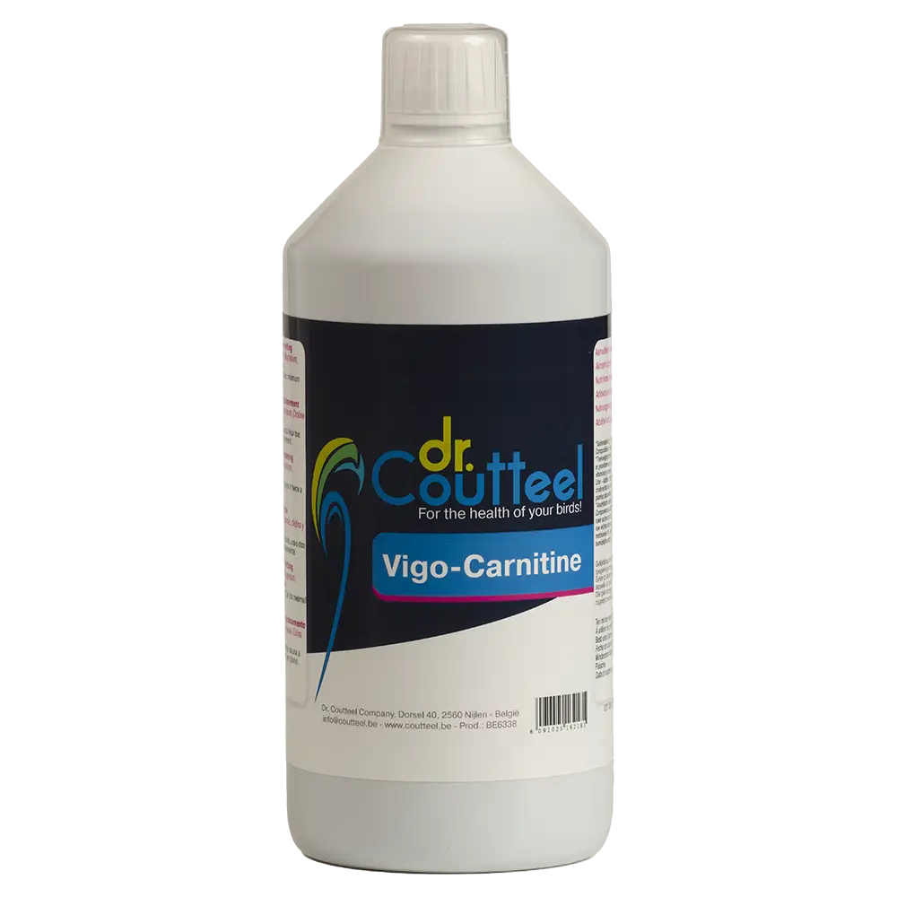 VIGO-CARNITINE 250 ML Dr.Coutteel
