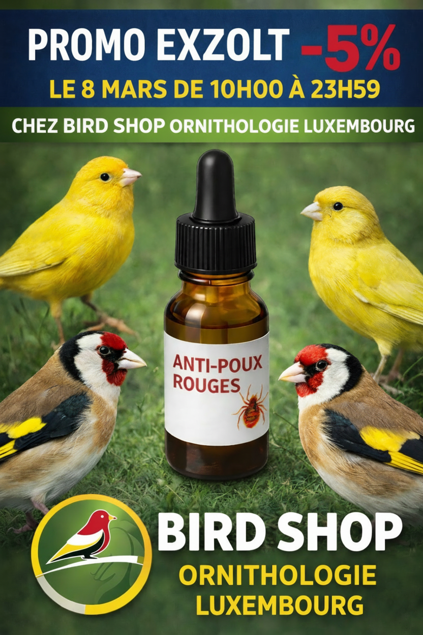 Bannière Promo EXZOLT -5% 8 Mars