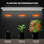 barres lumineuses de croissance LED Spider Farmer® Glow80 80W, spectre complet, étanche IP65, lampes connectables pour plantes d’intérieur, plantes succulentes, clonage, végétation et floraison - BIRD SHOP ORNITHOLOGIE LUXEMBOURG S.A.R.L-S
