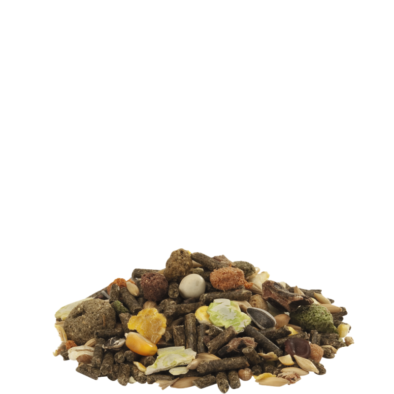 CUNI FIT Muesli 20kg - Mélange très varié de granulés, de flocons et de graines Versele-Laga