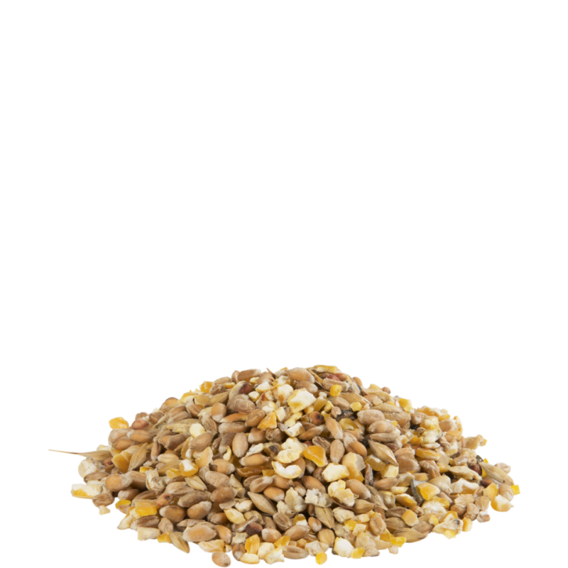 Country's Best GRA-MIX Mélange Volaille + Grit 20kg - Mélange céréales avec du maïs grossièrement concassé et du grit Versele-Laga