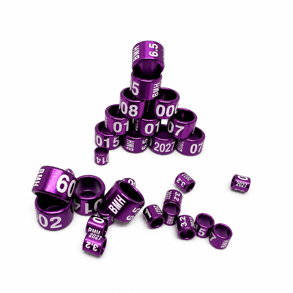 Bagues violettes pour oiseaux millésime 2027, photo illustrative sans logo Animalis