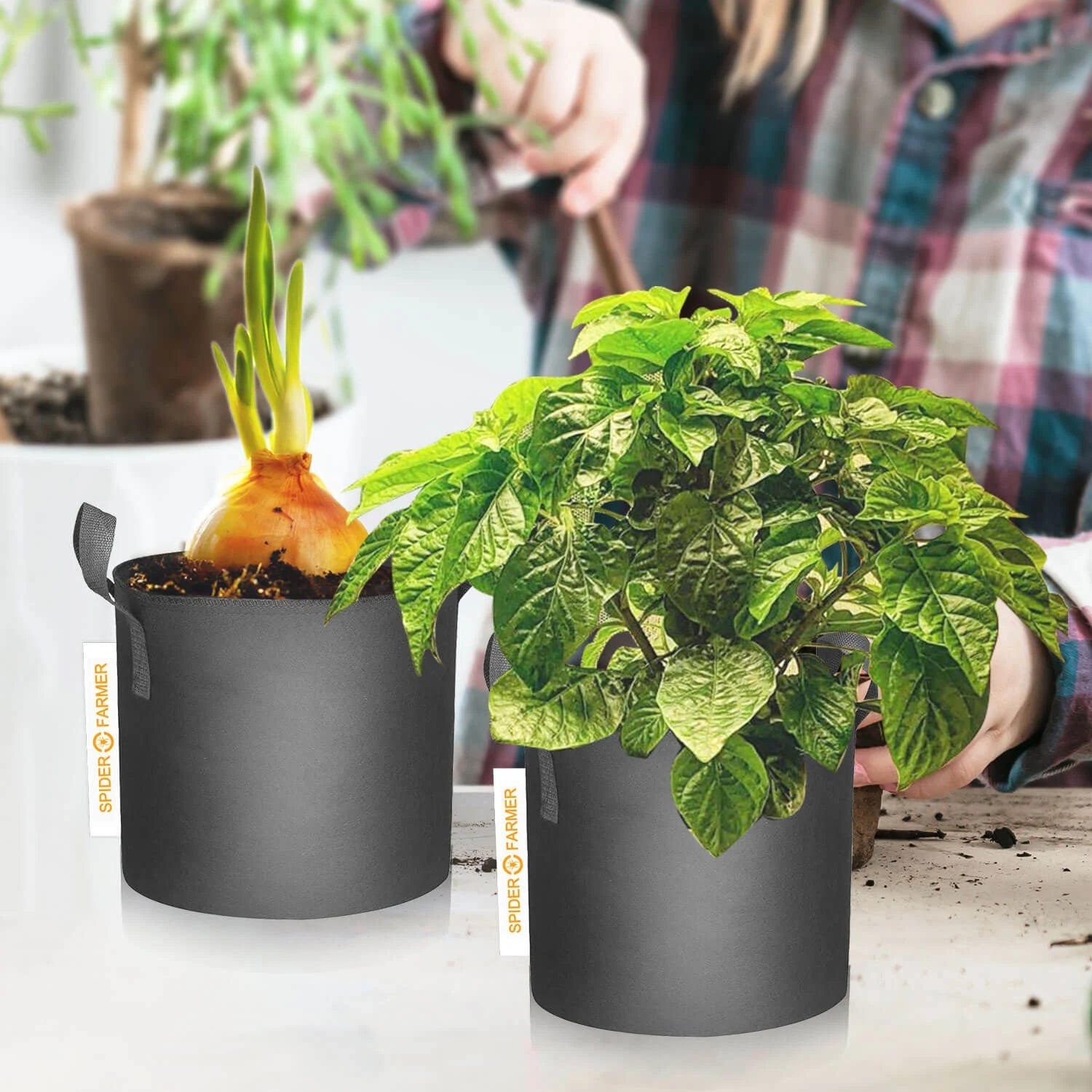 Paquet de 5 sacs de culture en tissu de 10 gallons (38 L) (Pflanzsäcke) – Jardinières de jardin respirantes et réutilisables pour tomates et légumes SPIDER FARMER