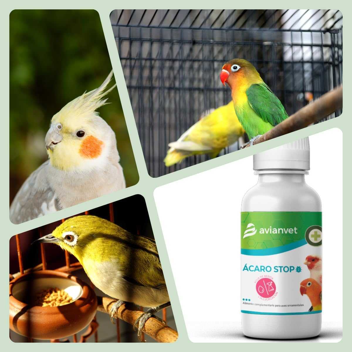 Avianvet (Anti poux rouge) 10ml Avianvet