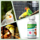 Avianvet (Anti poux rouge) 10ml Avianvet